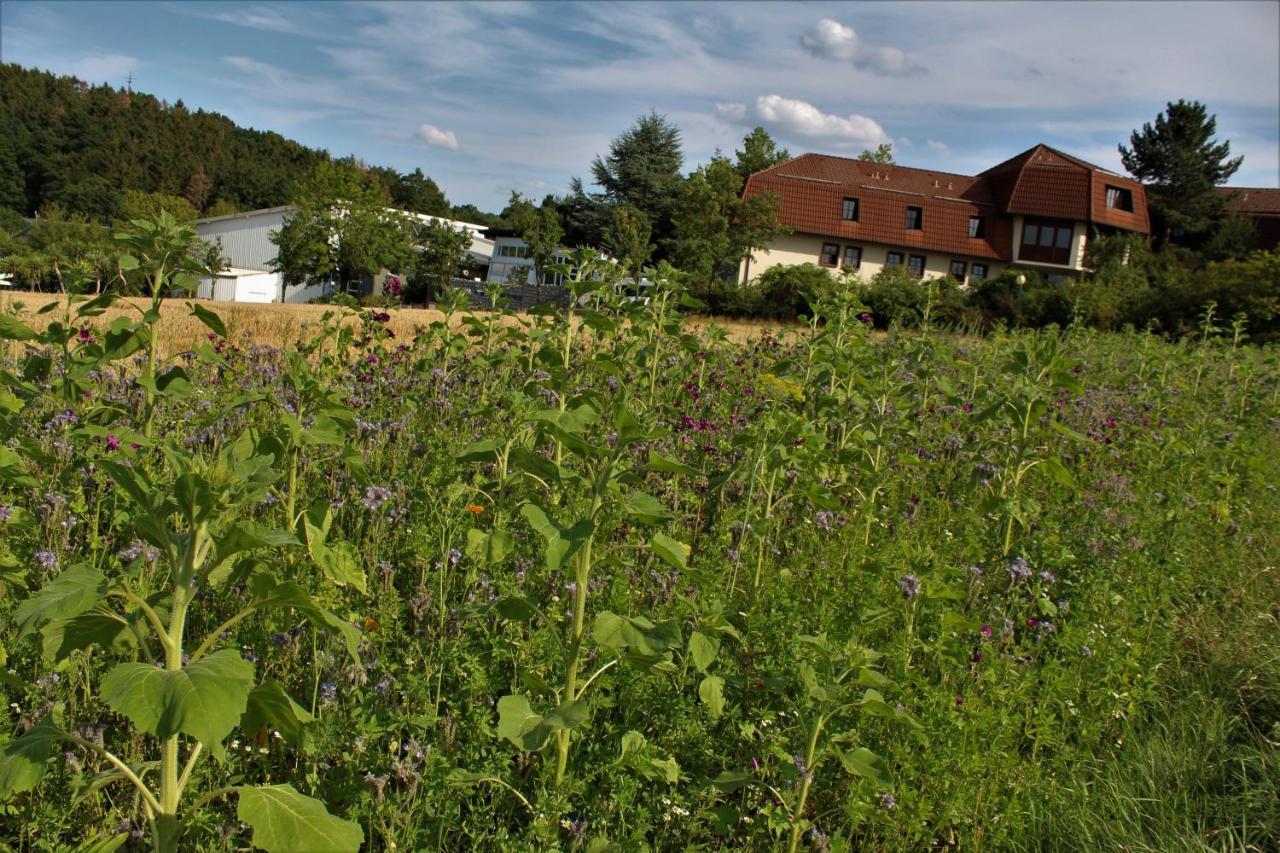 Landhotel Am Rothenberg Uslar Exterior foto